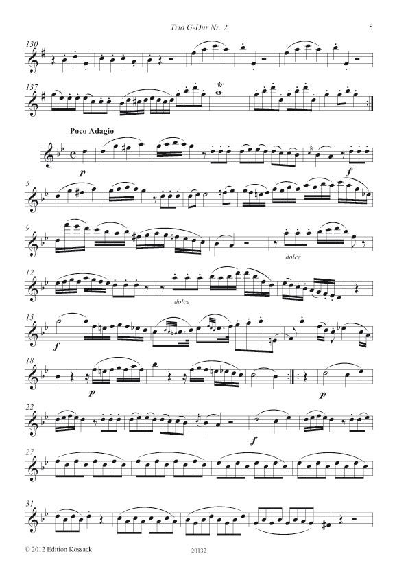 20132-flute-1-2